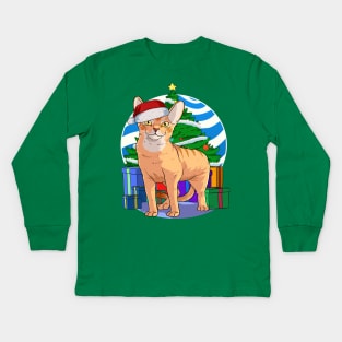 Abyssinian Cat Santa Christmas Gift Kids Long Sleeve T-Shirt